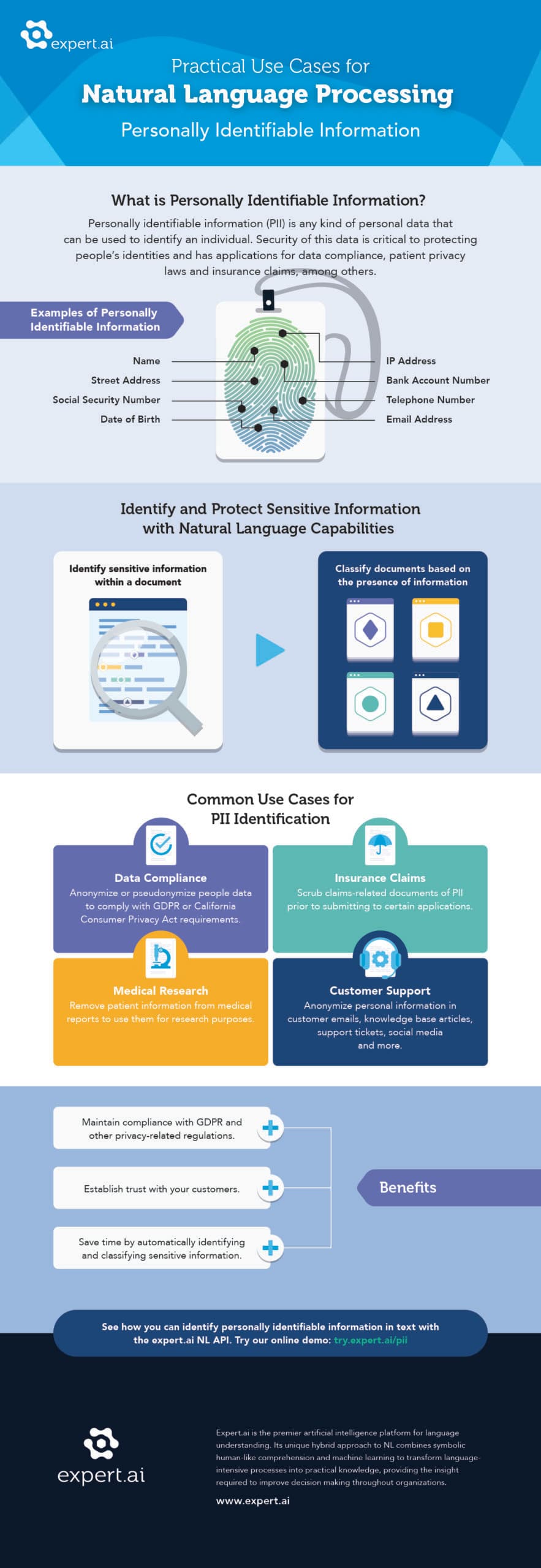 PII Detection Visualization