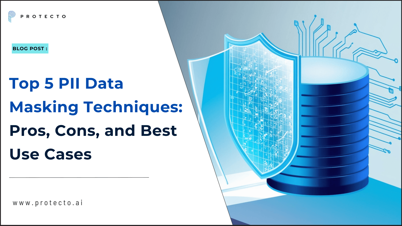 PII Data Masking Techniques